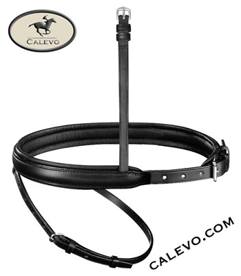 Passier - exchangeable noseband combined CALEVO.com Shop