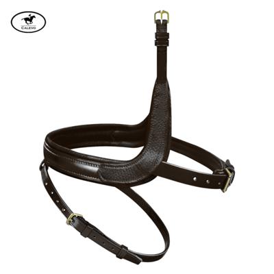 Passier - Wechsel-Reithalfter fr mehr Jochbeinfreiheit -- CALEVO.com Shop