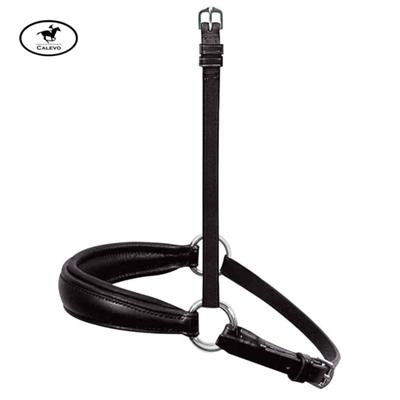 Passier - Wechsel-Reithalfter Hannoversch -- CALEVO.com Shop