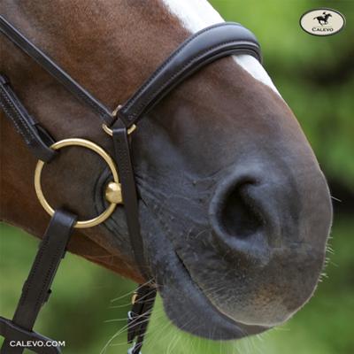 Passier - noseband drop CALEVO.com Shop