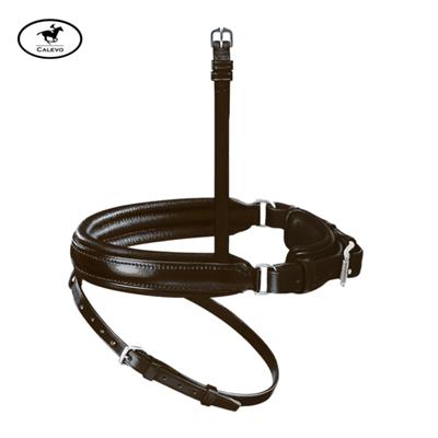 Passier - Wechsel-Reithalfter Spezial -- CALEVO.com Shop