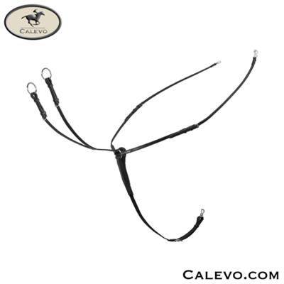 Passier BLU Vorderzeug EASY -- CALEVO.com Shop