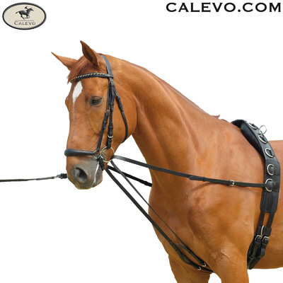 lunging draw reins - Lauffer reins CALEVO.com Shop