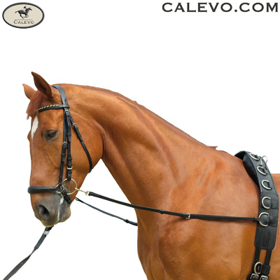Waldhausen - Ausbindezgel aus Leder, starr CALEVO.com Shop