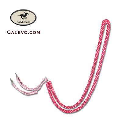 Waldhausen - lunging aid CALEVO.com Shop