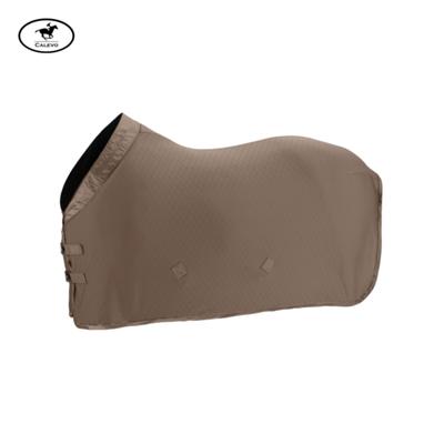 Eskadron Abschwitzdecke AERIAL JERSEY - PLATINUM 2025 -- CALEVO.com Shop