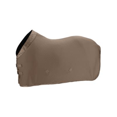 Eskadron Abschwitzdecke AERIAL JERSEY - PLATINUM 2025 -- CALEVO.com Shop