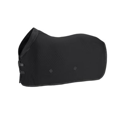 Eskadron Abschwitzdecke AERIAL JERSEY - PLATINUM 2025 -- CALEVO.com Shop