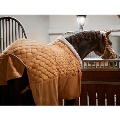 Eskadron - Stalldecke ZETA 150 - PLATINUM 2023 CALEVO.com Shop