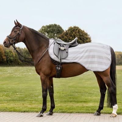 Waldhausen - Fliegen Ausreitdecke ECONOMIC -- CALEVO.com Shop