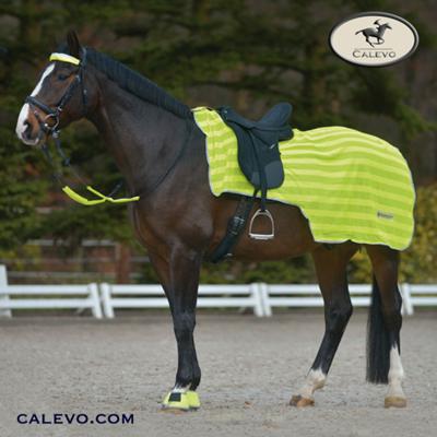 Waldhausen - exercise rug REFLECT CALEVO.com Shop