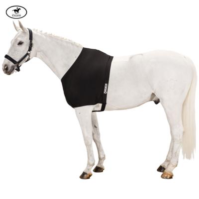 Eskadron - Brustschutz CHEST PROTECTOR -- CALEVO.com Shop