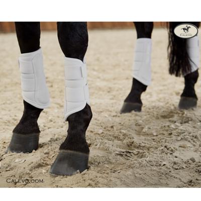 Eskadron - Gamaschen SOFTSHELL - PLATINUM PURE 2023 CALEVO.com Shop