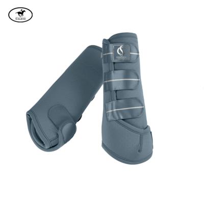 Eskadron - Gamaschen PRO DRESSAGE hind - CLASSIC SPORTS 2025 -- CALEVO.com Shop