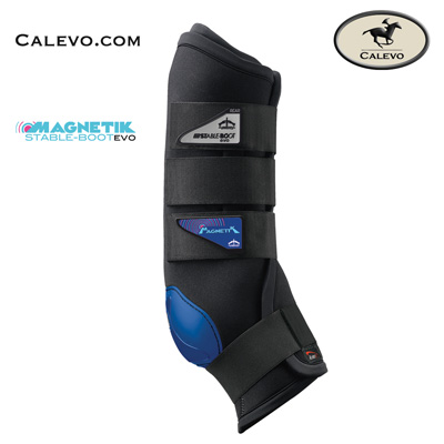 Veredus - MAGNETIK Stable Boot EVO hinten -- CALEVO.com Shop