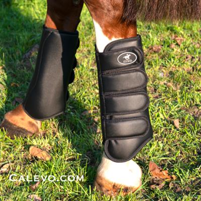 Calevo - Dressage horse boots PROTECT - REAR CALEVO.com Shop