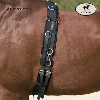 Kieffer - Lunging Surcingle CALEVO.com Shop