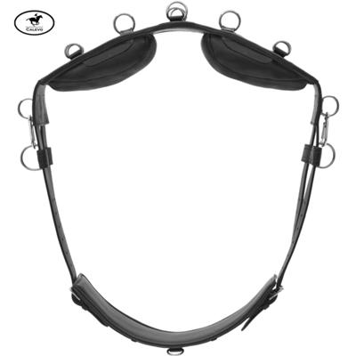 Kieffer - Leder Longiergurt EQUISHAPE PRO -- CALEVO.com Shop
