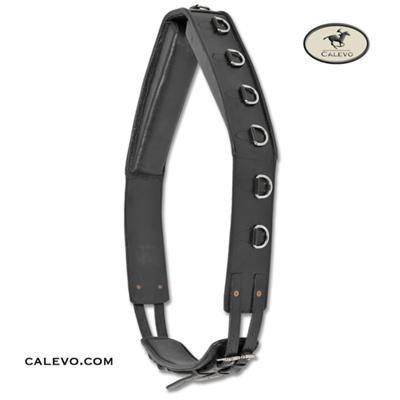 Waldhausen - Leather lunging girth CALEVO.com Shop