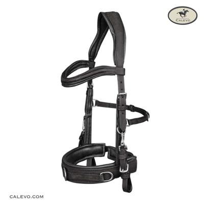 Waldhausen - Leder Kappzaum ANATOMIC -- CALEVO.com Shop