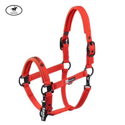 Eskadron - Stallhalfter DOUBLE PIN - DYNAMIC 2025 -- CALEVO.com Shop
