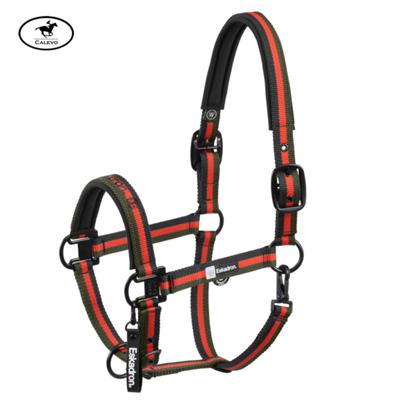 Eskadron - Stallhalfter DOUBLE PIN - DYNAMIC 2025 -- CALEVO.com Shop