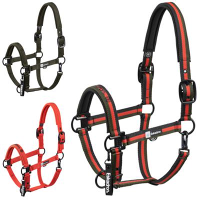 Eskadron - headcollar DOUBLE PIN - DYNAMIC 2025 CALEVO.com Shop