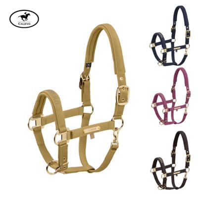 Eskadron - Halfter GIRTH DOUBLE PIN - HERITAGE 2025 CALEVO.com Shop