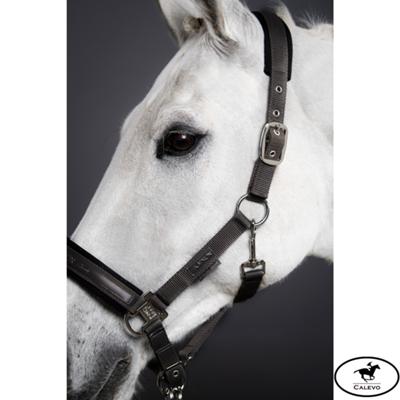 Eskadron - Stallhalfter PIN BUCKLE - CLASSIC SPORTS CALEVO.com Shop