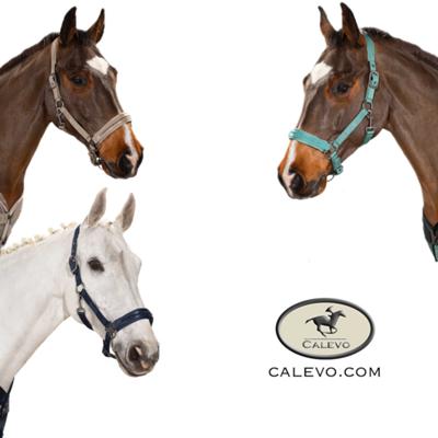 Eskadron Halfter DOUBLEPIN GLOSSY CRYSTAL - CLASSIC SPORTS CALEVO.com Shop