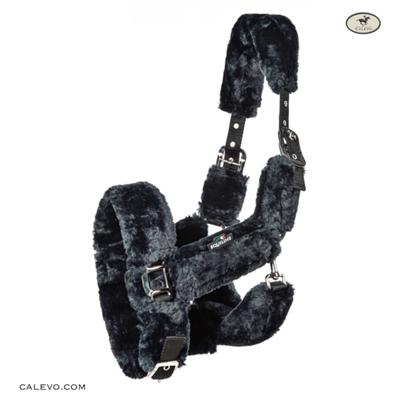 Equiline - Halfter TERRIS -- CALEVO.com Shop