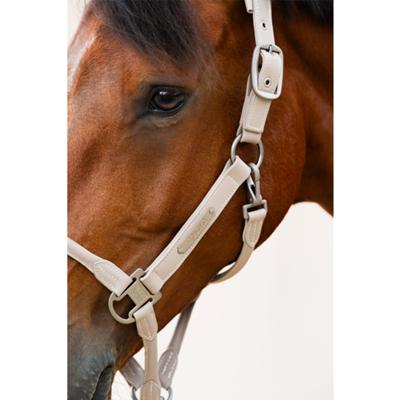 Eskadron - headcollar DOUBLEPIN LEATHER - CLASSIC SPORTS CALEVO.com Shop