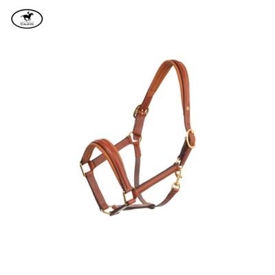 Schumacher - Lederhalfter -- CALEVO.com Shop