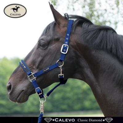 Calevo - Stallhalfter Classic DIAMOND -- CALEVO.com Shop