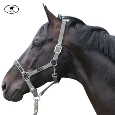 Calevo - Stallhalfter Classic DIAMOND -- CALEVO.com Shop