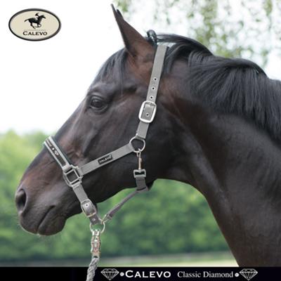 Calevo - Stallhalfter Classic DIAMOND -- CALEVO.com Shop