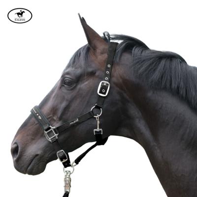 Calevo - Stallhalfter Classic DIAMOND -- CALEVO.com Shop