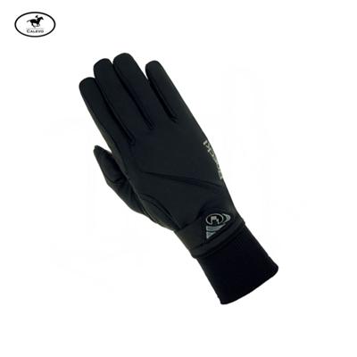 Roeckl - Winter Windstopper Softshell Handschuhe WISMAR -- CALEVO.com Shop
