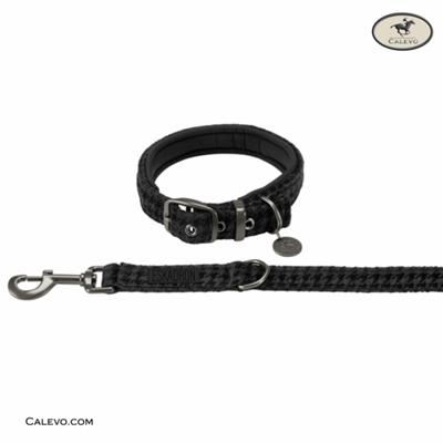 Eskadron SET Hundehalsband+Leine VELVET STAMP - ESSENCE 2022 CALEVO.com Shop