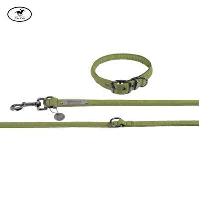 Eskadron - Hunde Set FAUX LEATHER - PLATINUM 2024 -- CALEVO.com Shop