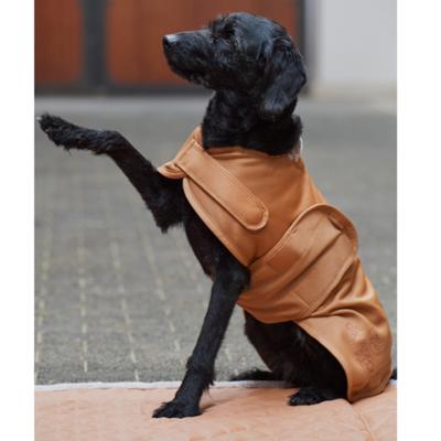 Eskadron - Hundemantel SOFTSHELL - PLATINUM 2023 CALEVO.com Shop