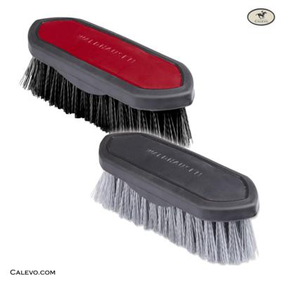 robust coat and mane brush CALEVO.com Shop