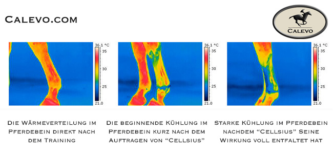 Leovet - Cellsius Gel - khlen hilft !