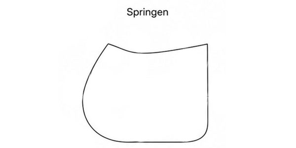Form_1020251IND-2