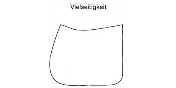 Form_1020251IND-3