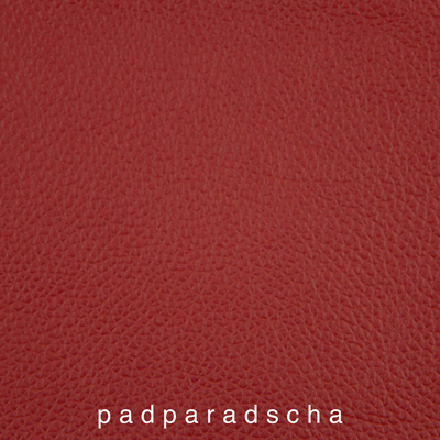 Genickpolsterfarbe_1050413IND-26