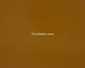 Nasenriemen-Leder_1050412IND-74