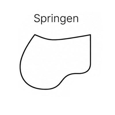 form_1020250x-springen