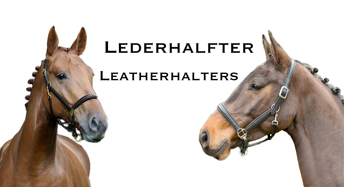 Lederhalfter