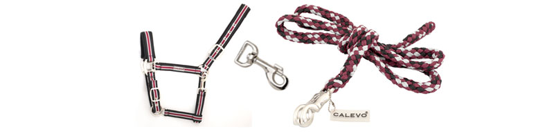 Headcollars/Ropes